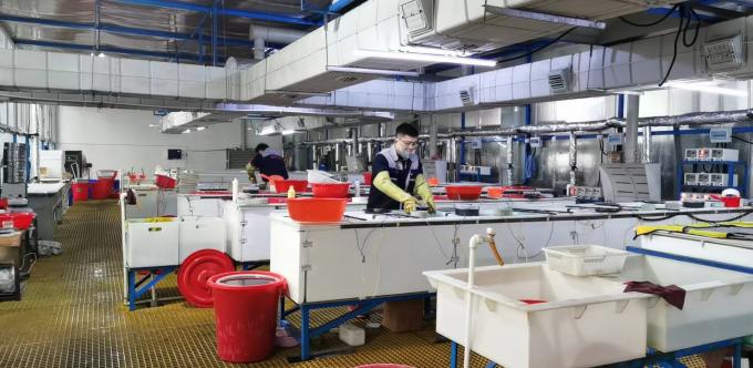 ZHENGZHOU JINCHUAN ABRASIVES CO., LTD. Wycieczka po fabryce